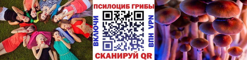 дарк нет Telegram  купить наркотики цена  Ливны  Псилоцибиновые грибы Cubensis 