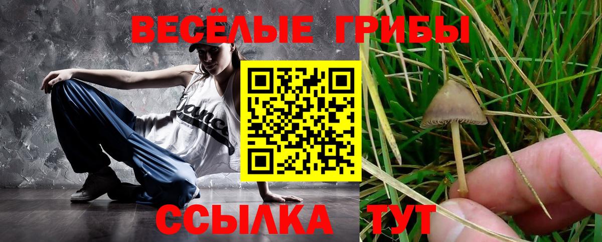 Галлюциногенные грибы ЛСД Ливны
